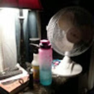 Meet your Posher, Max